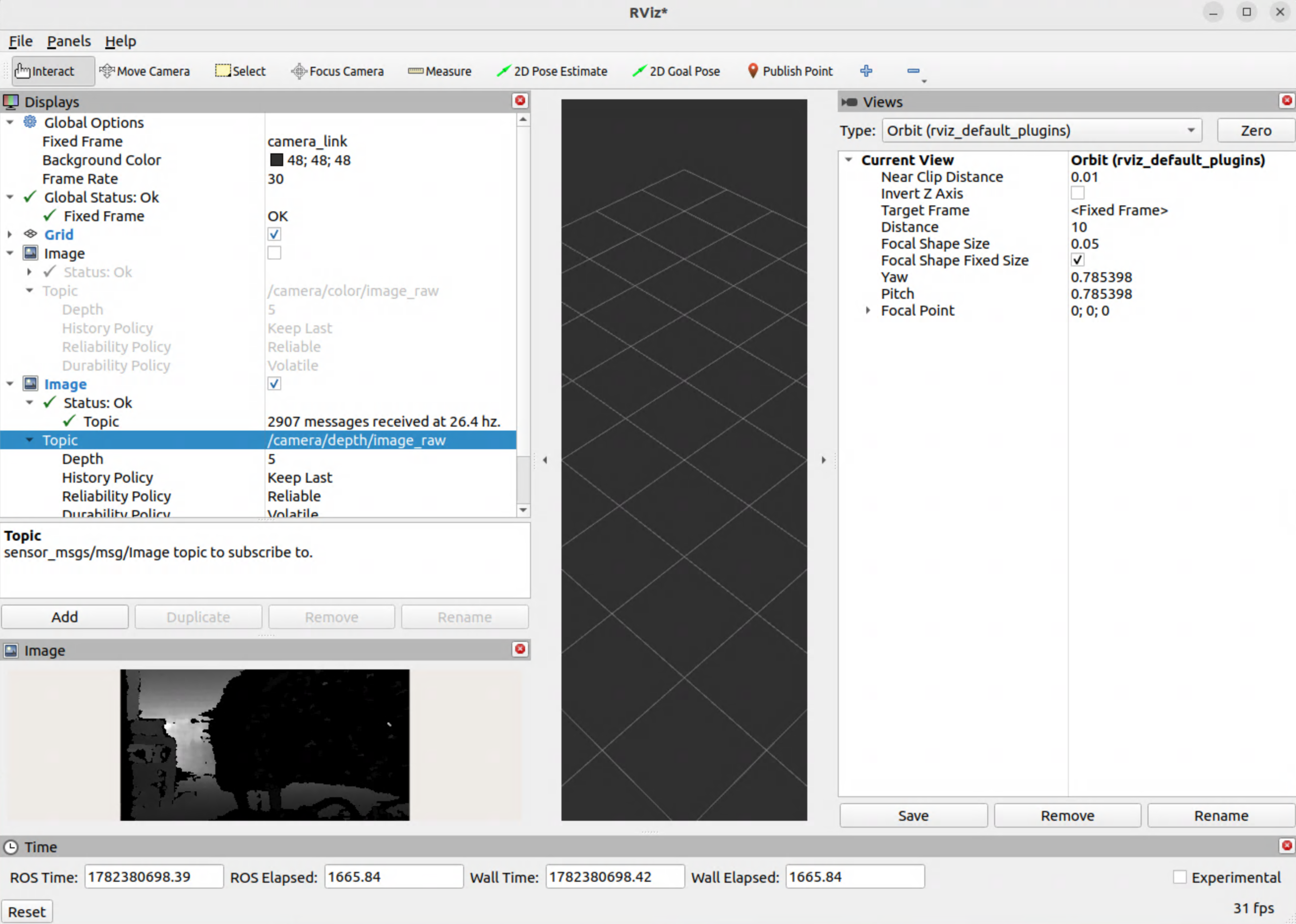 rviz_depth_image_raw