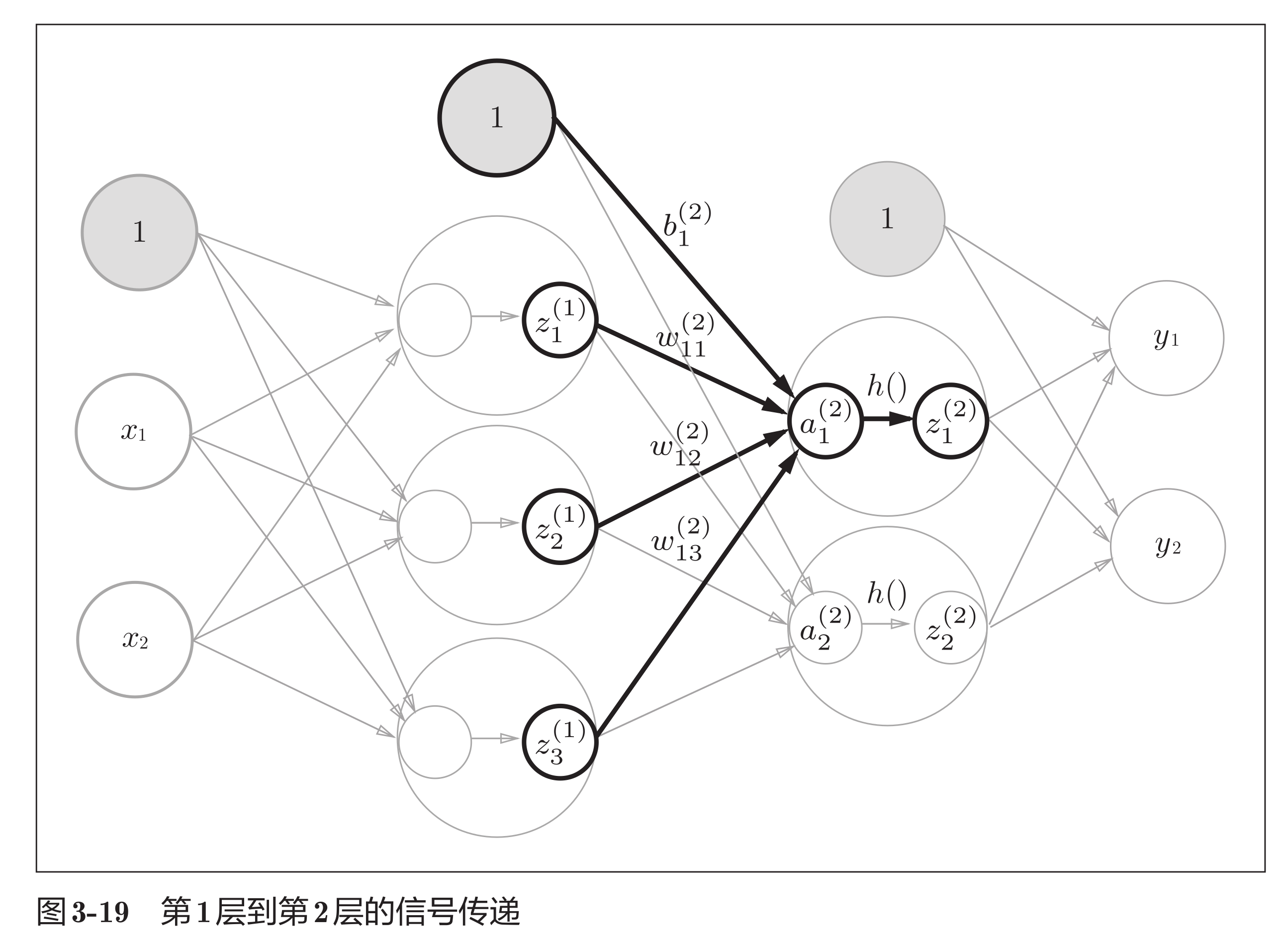 multilayer_neuronal_trans