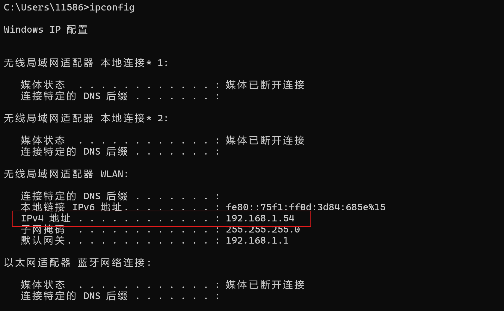 windows_ipconfig